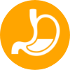Sistema Gastrointestinal