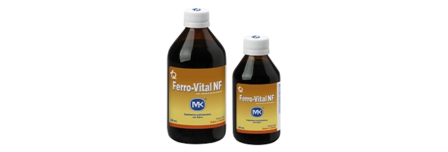Hierro + Vitaminas del Complejo B - Ferrovital NF MK