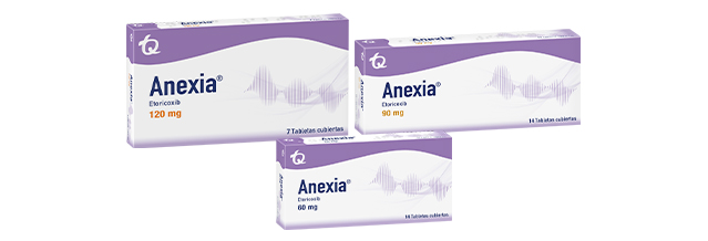 Anexia