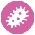 Antiinfecciosos